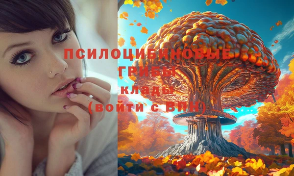 СК Верея