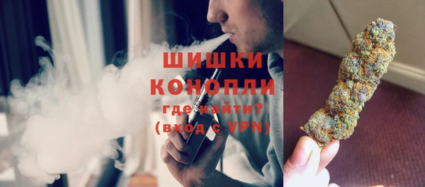 дмт Богородицк