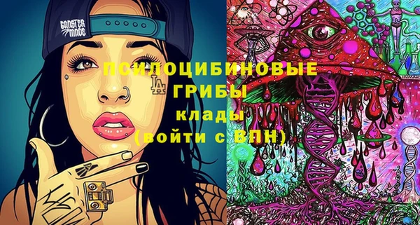 крисы Богданович