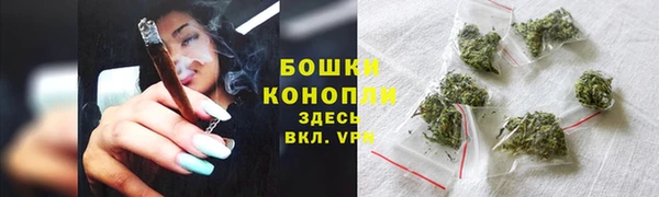 прущие грибы Верхний Тагил