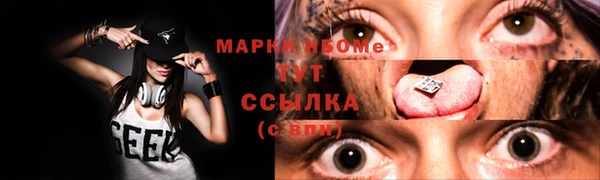 прущие грибы Верхний Тагил