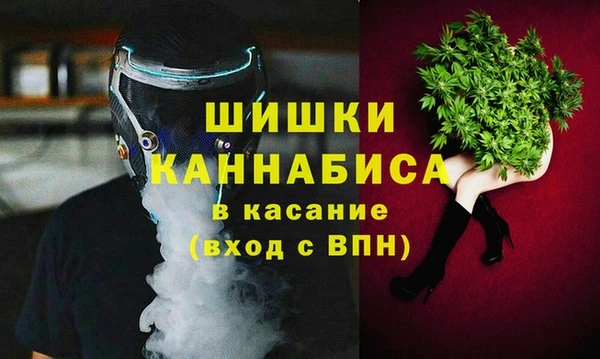 дмт Богородицк