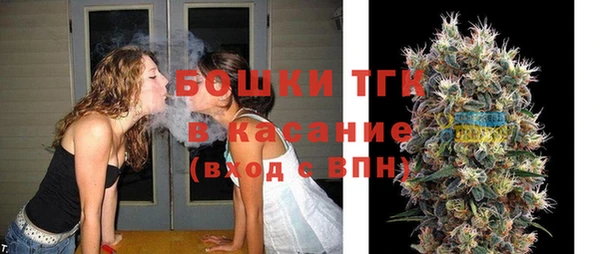 дмт Богородицк