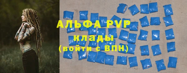крисы Богданович